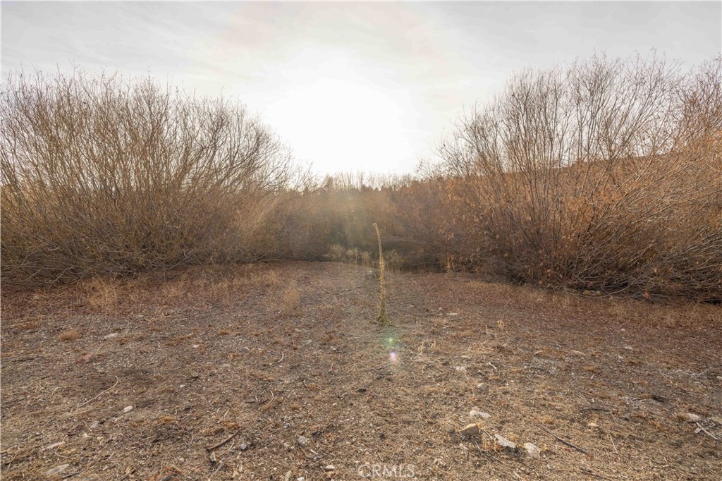 39271 Seminole Property Photo 8