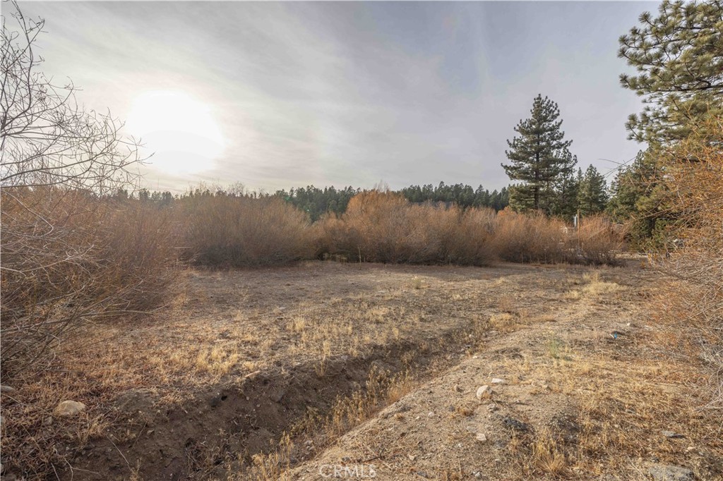 39271 Seminole Property Photo 10