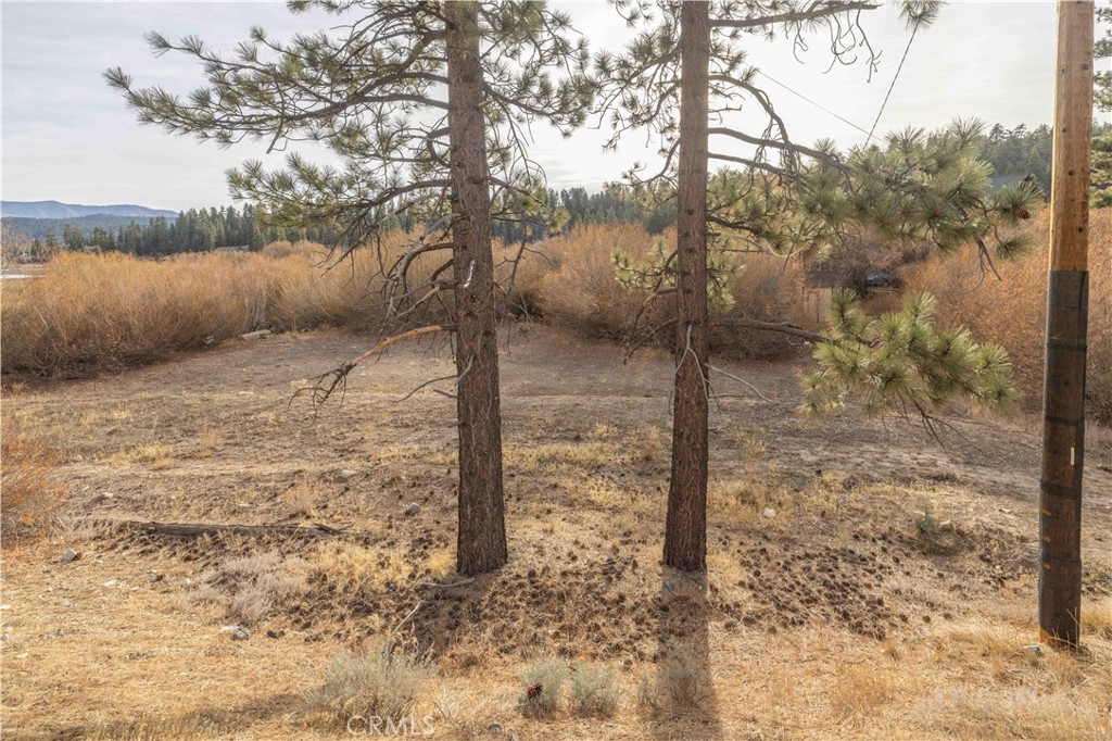 39271 Seminole Property Photo 11
