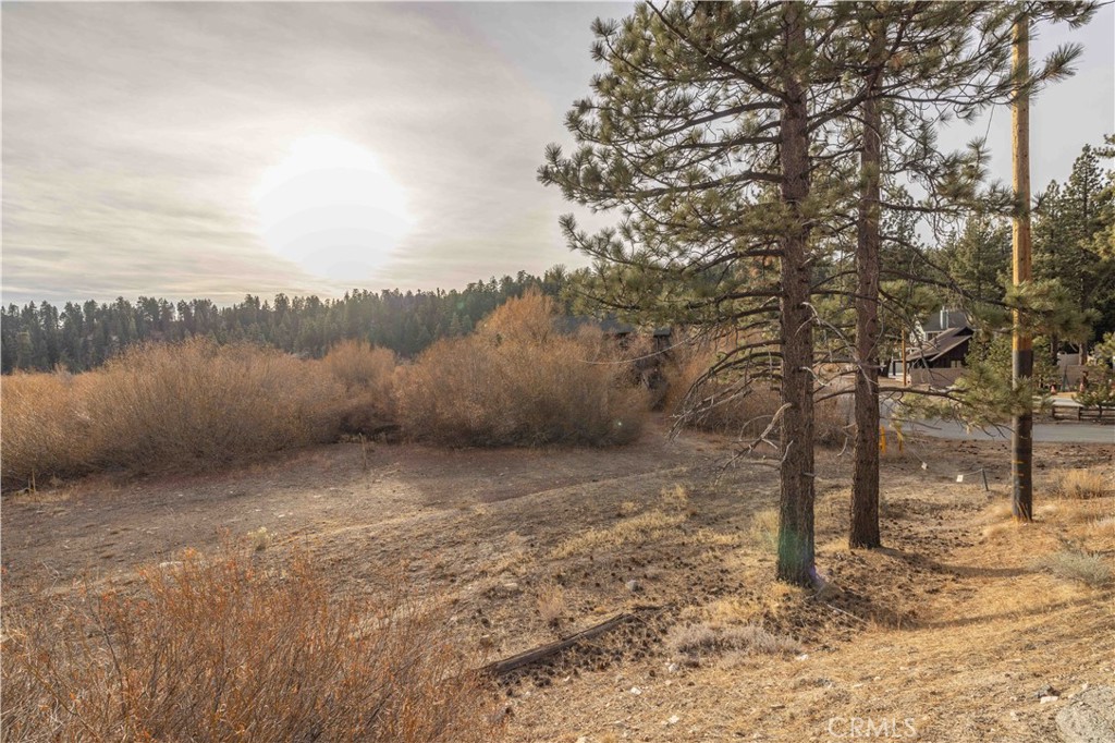 39271 Seminole Property Photo 13