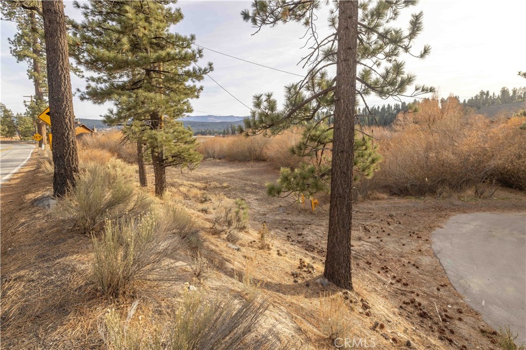 39271 Seminole Property Photo 14