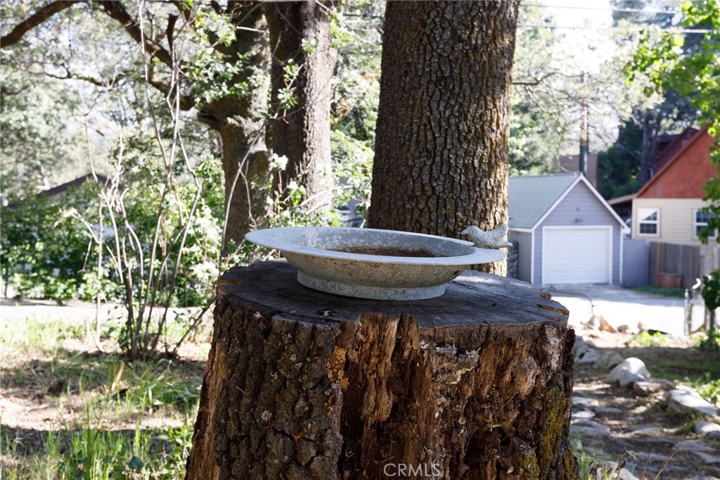 29288 Lake View Property Photo 23