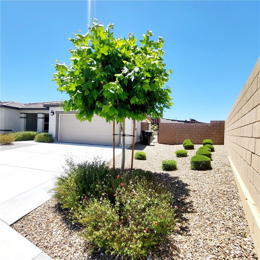 16625 Indian Summer Property Photo 32
