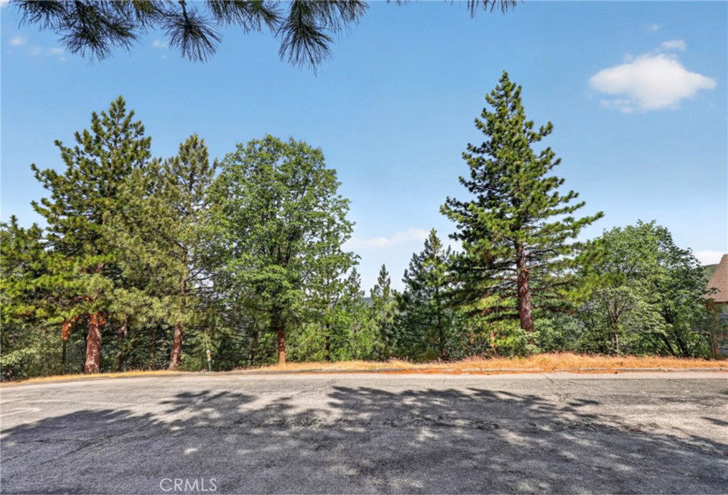 30308 Leprechaun Property Photo 1