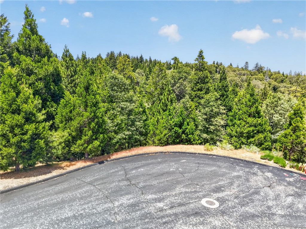372 Redtail Hawk Property Photo 1