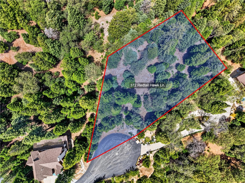 372 Redtail Hawk Property Photo 3