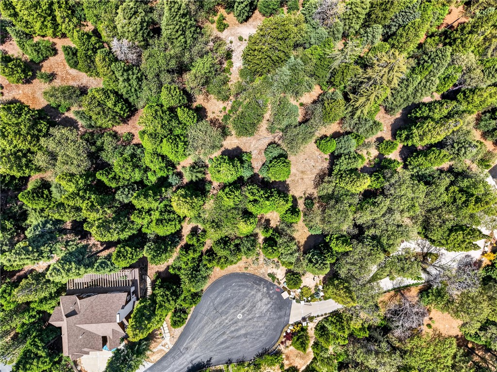 372 Redtail Hawk Property Photo 4