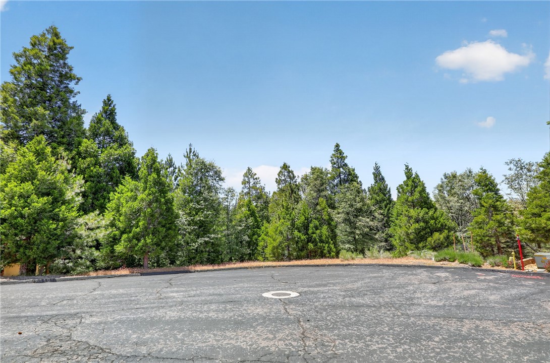 372 Redtail Hawk Property Photo 5