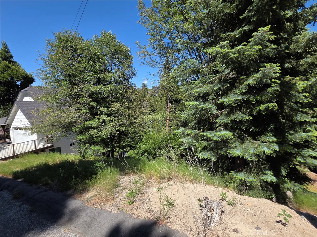 0 Shenandoah Drive Property Photo 1