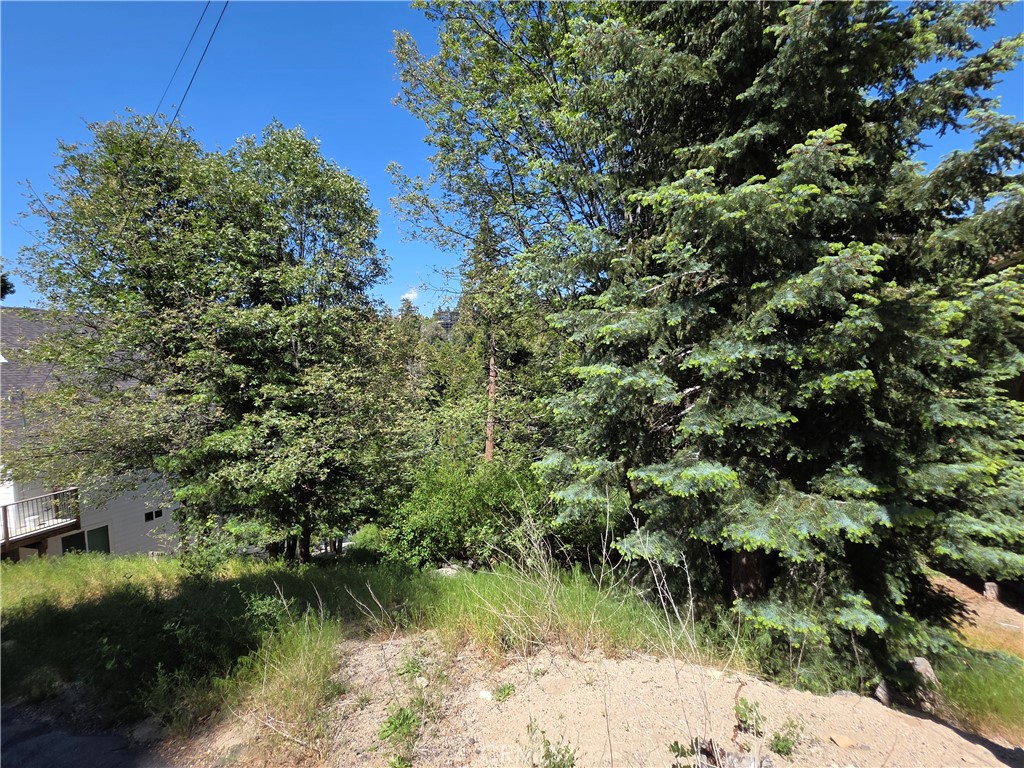 0 Shenandoah Drive Property Photo 2