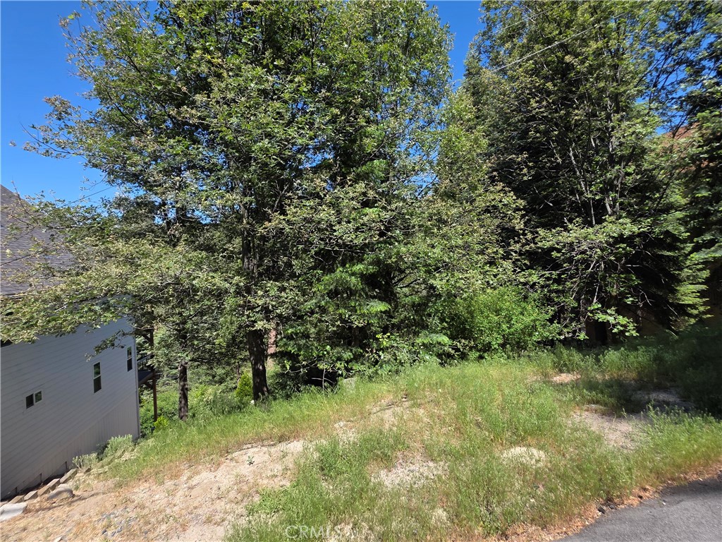0 Shenandoah Drive Property Photo 3