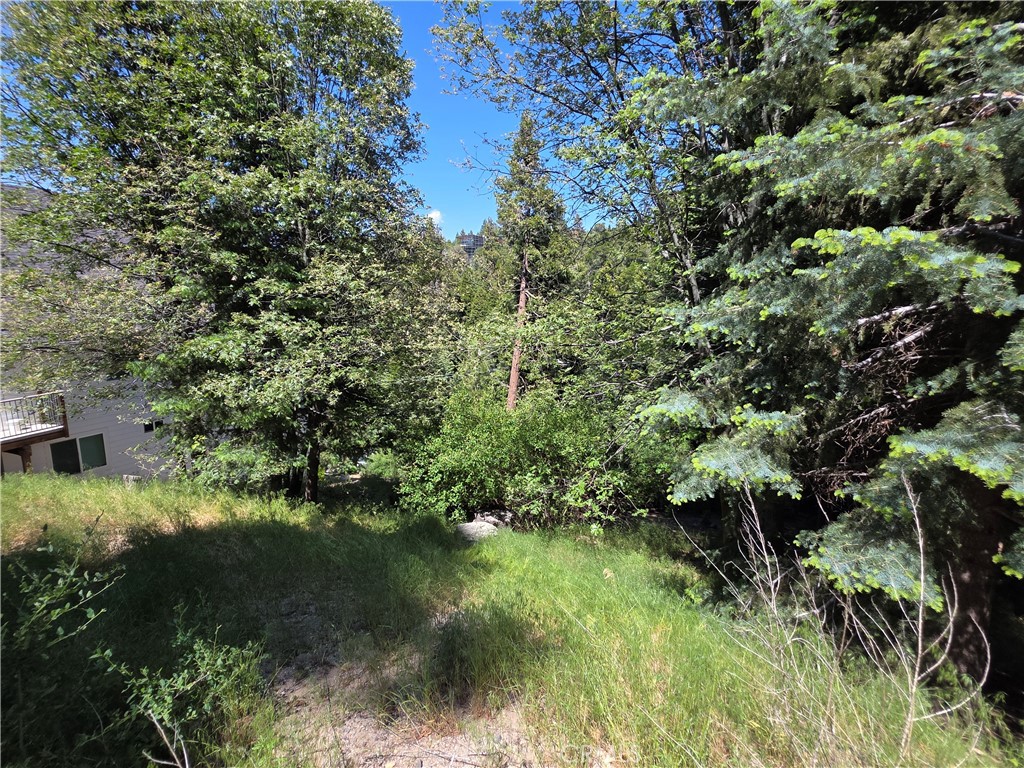 0 Shenandoah Drive Property Photo 7