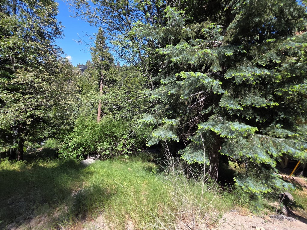 0 Shenandoah Drive Property Photo 8