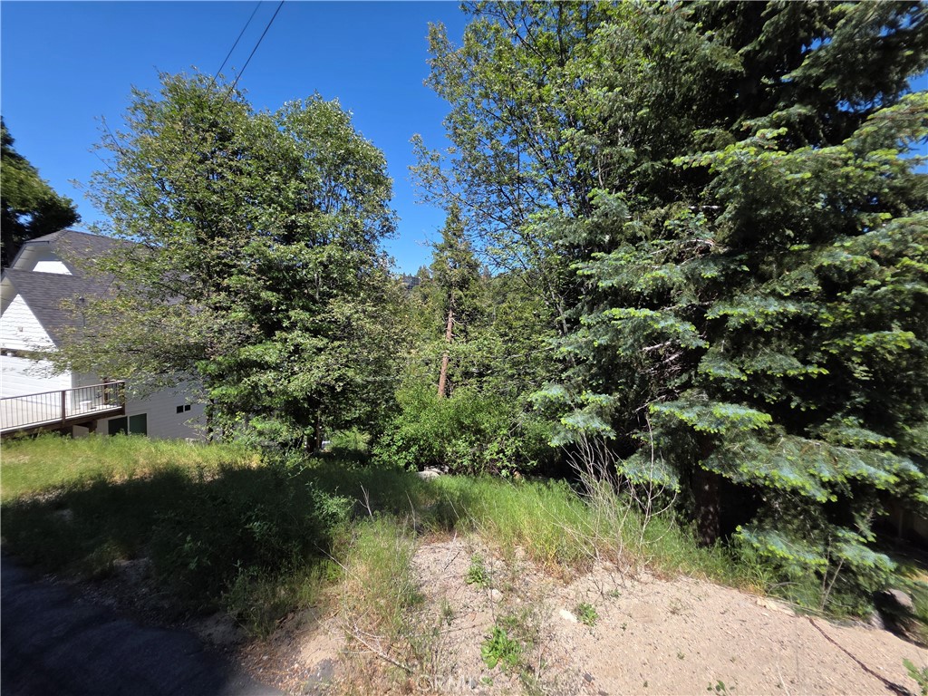 0 Shenandoah Drive Property Photo 9