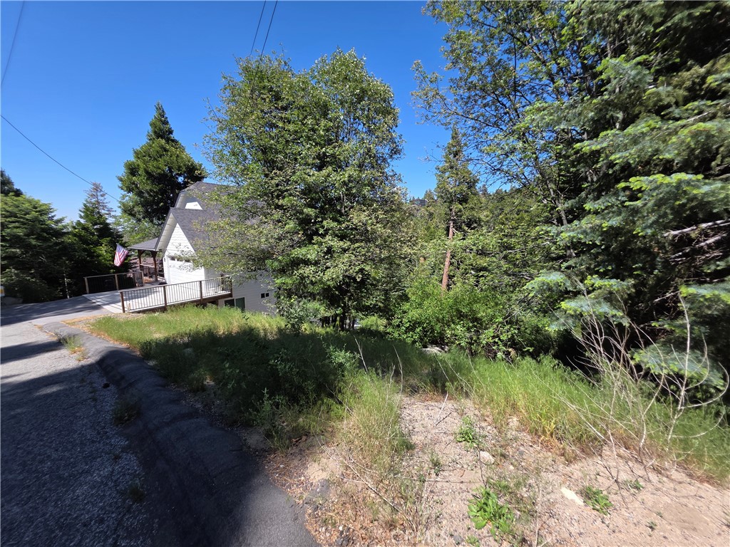 0 Shenandoah Drive Property Photo 10