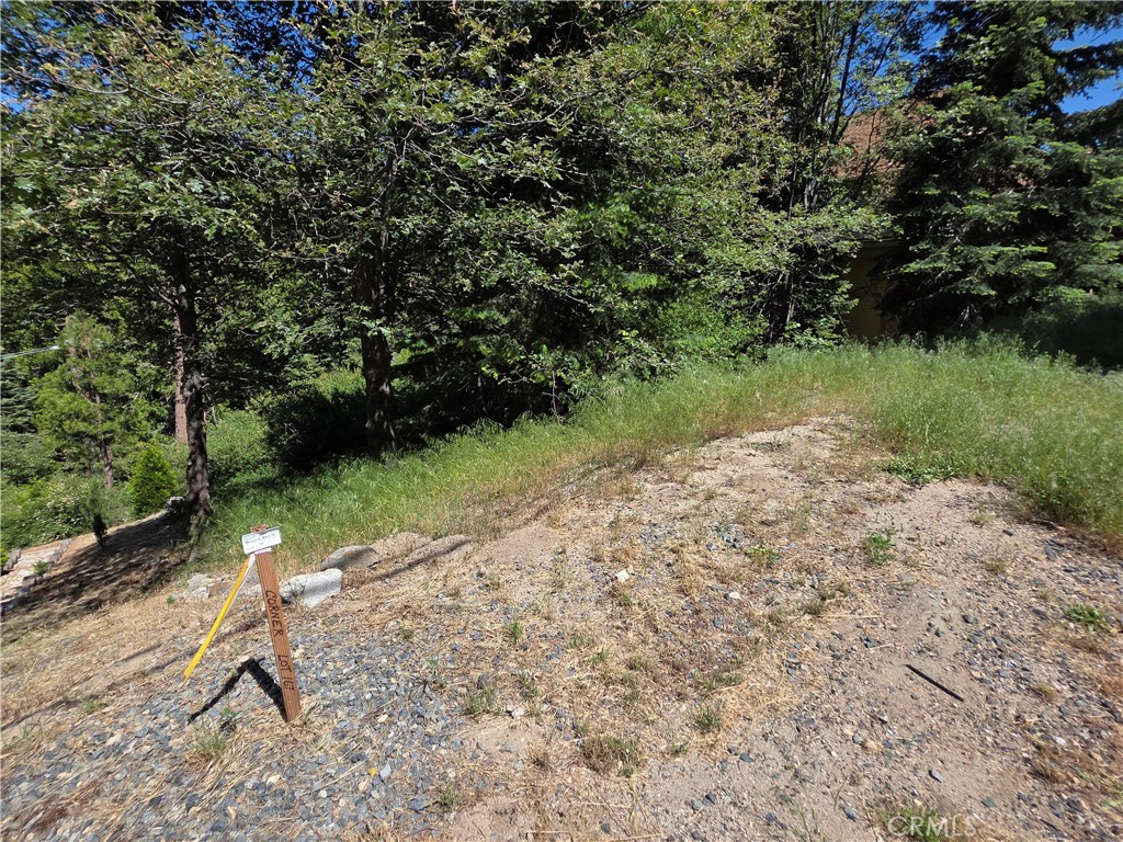 0 Shenandoah Drive Property Photo 13