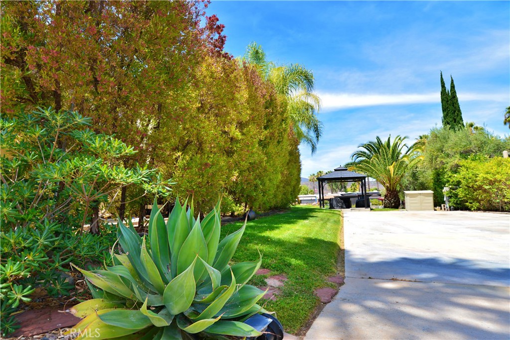 45525 Highway 79 #452 Property Photo 4