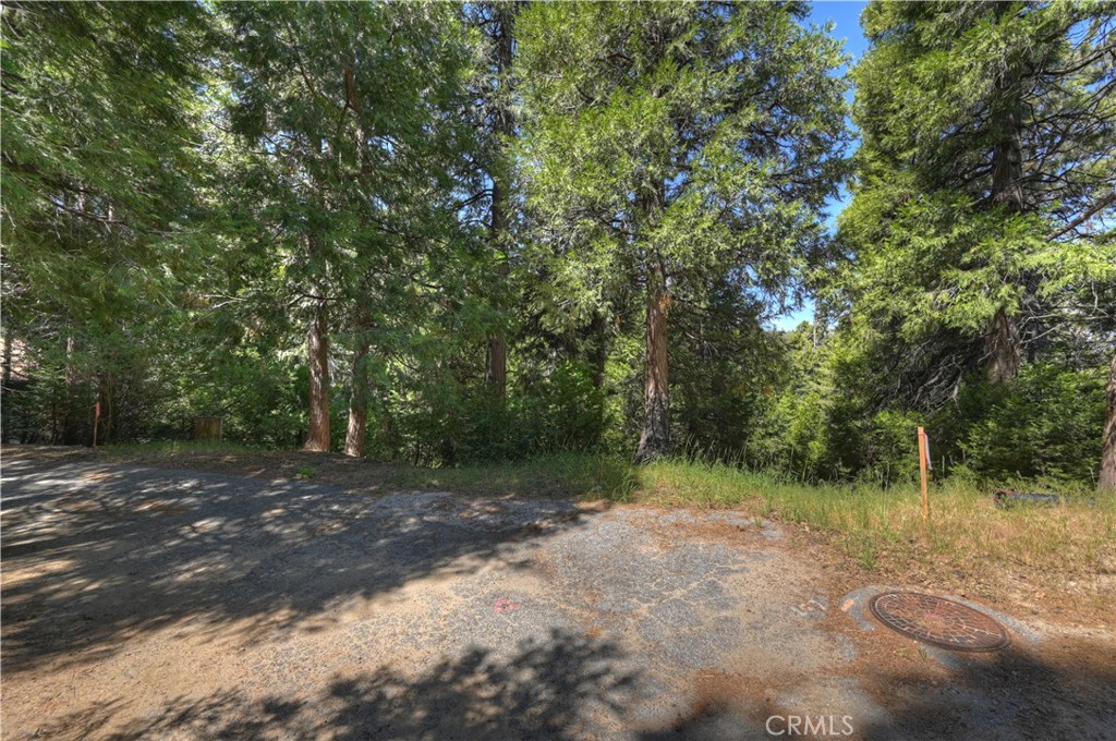 413 Merrimack Property Photo 9
