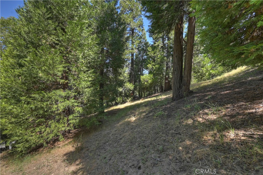 413 Merrimack Property Photo 12