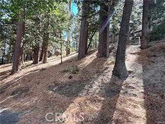 0 Brookings Property Photo 1