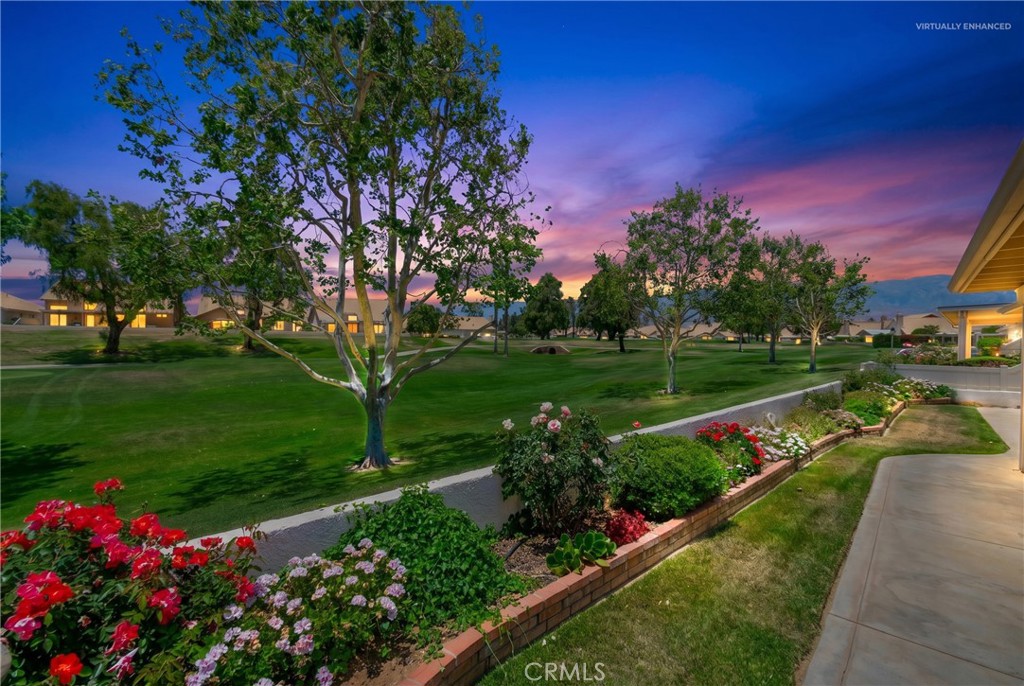 1287 Riviera Property Photo 2