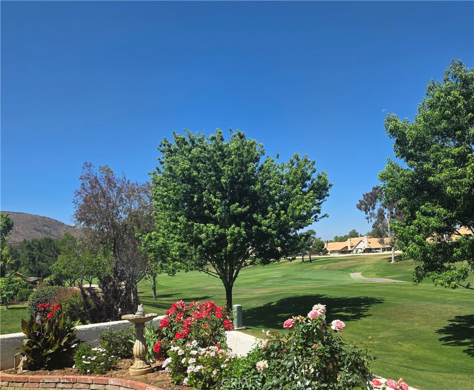 1287 Riviera Property Photo 5