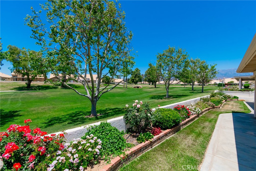 1287 Riviera Property Photo 37