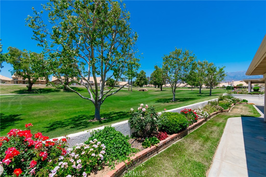 1287 Riviera Property Photo 38