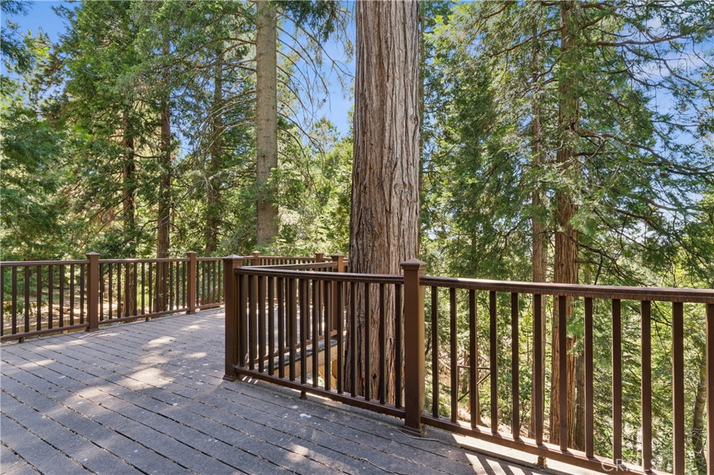 111 Grizzly Property Photo 46