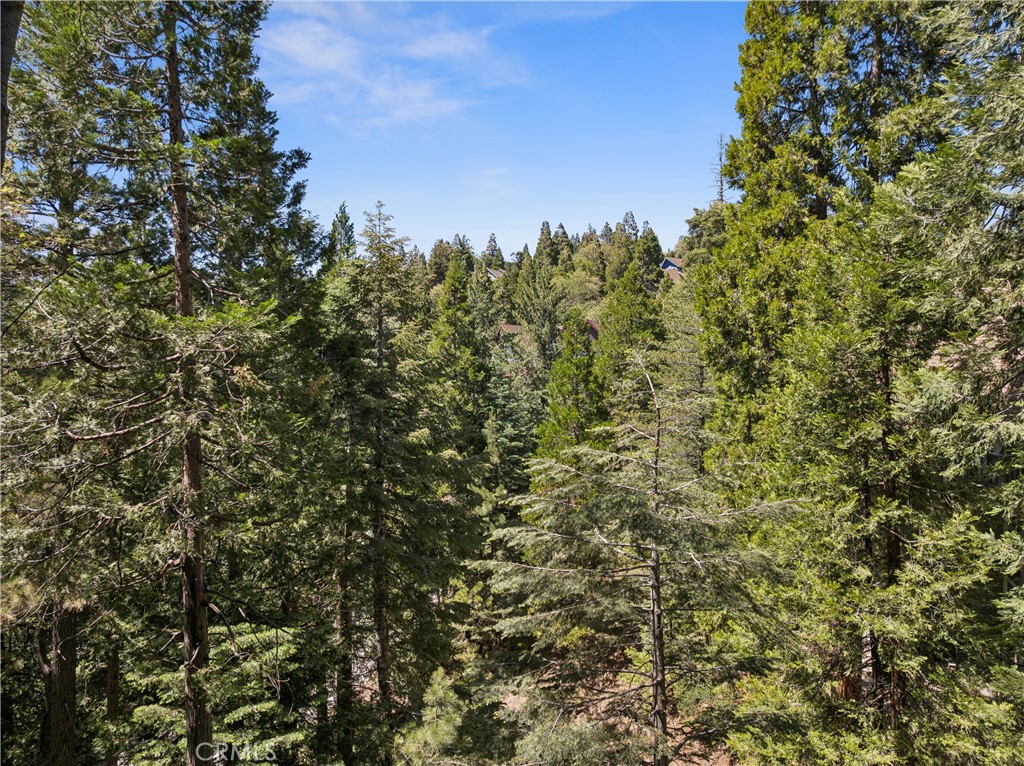 111 Grizzly Property Photo 52