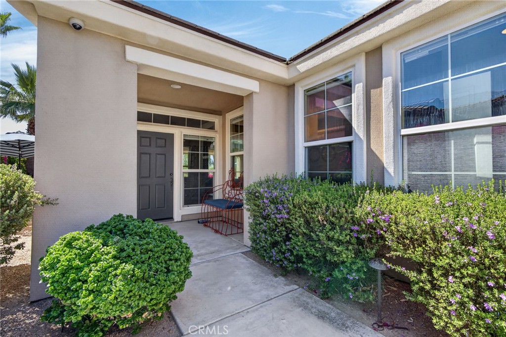81074 Barrel Cactus Property Photo 49