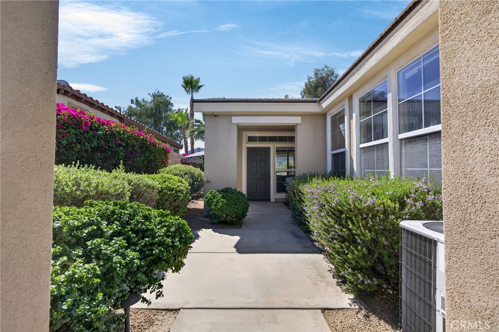 81074 Barrel Cactus Property Photo 50