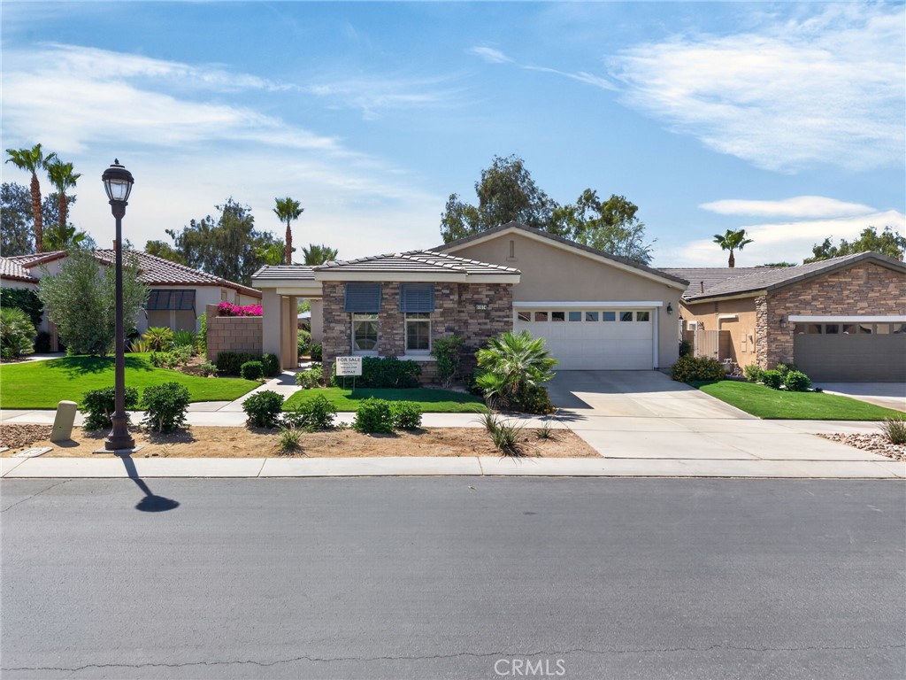 81074 Barrel Cactus Property Photo 59