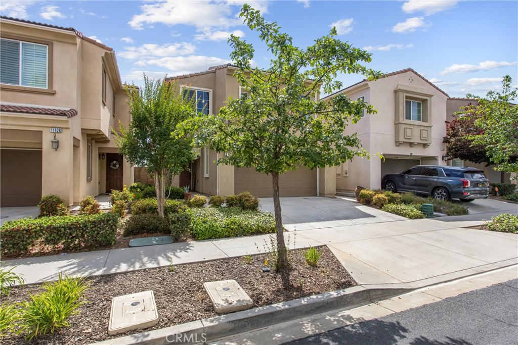 11822 Cobblestone Property Photo 6