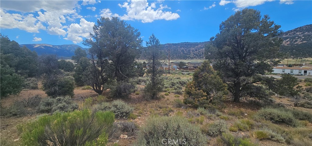 0 Baldwin Lake Road Property Photo 1