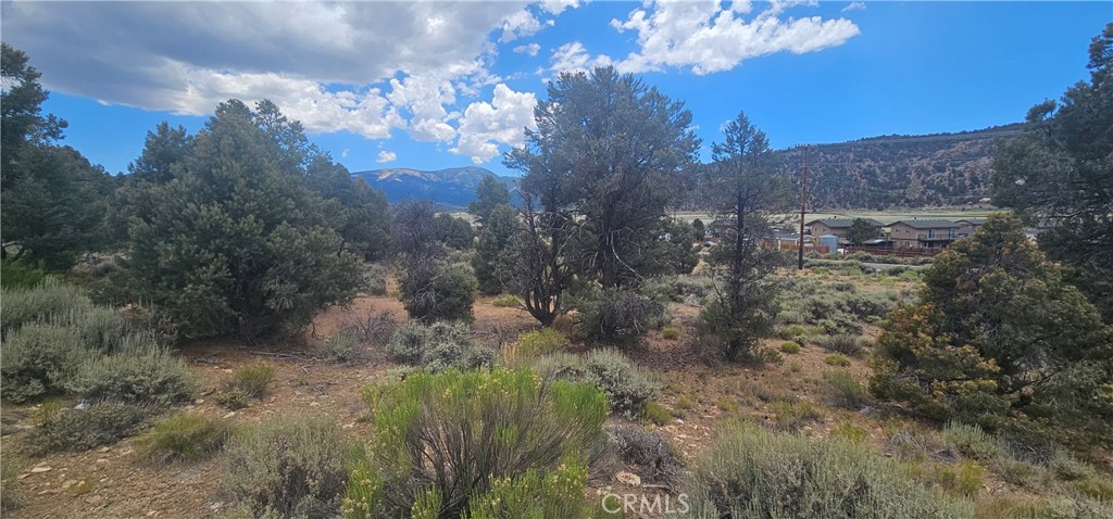 0 Baldwin Lake Road Property Photo 2