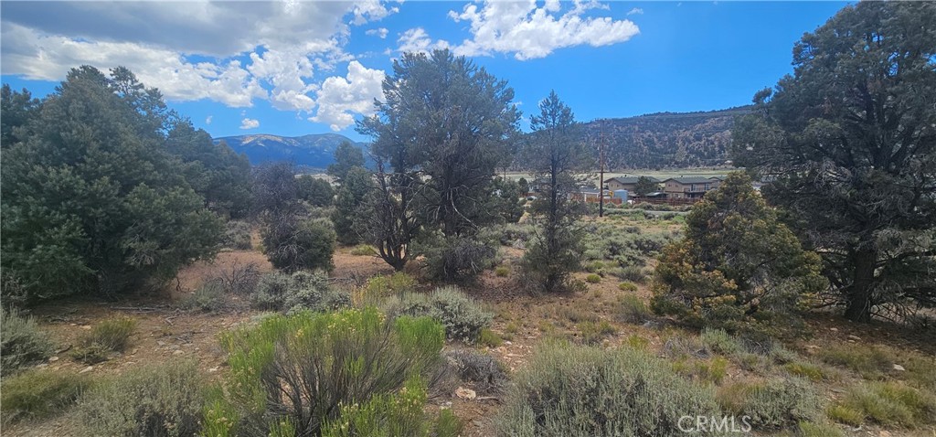 0 Baldwin Lake Road Property Photo 3