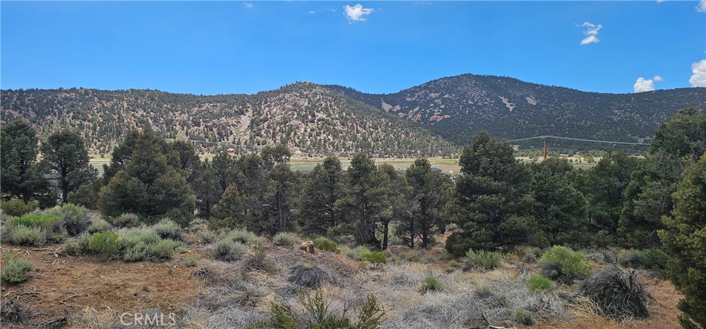 0 Baldwin Lake Road Property Photo 4