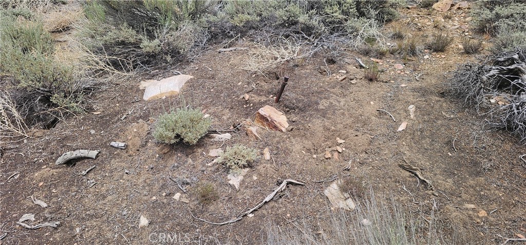 0 Baldwin Lake Road Property Photo 8