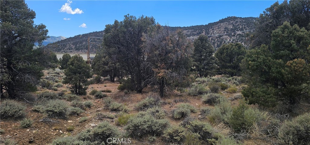 0 Baldwin Lake Road Property Photo 13