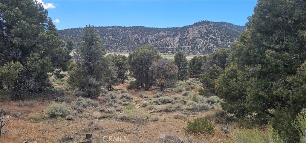 0 Baldwin Lake Road Property Photo 15