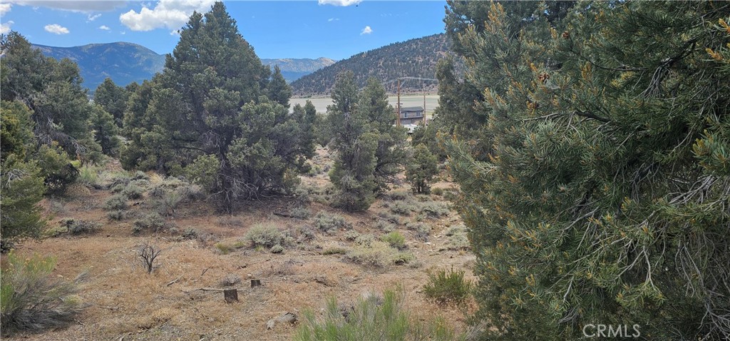 0 Baldwin Lake Road Property Photo 16