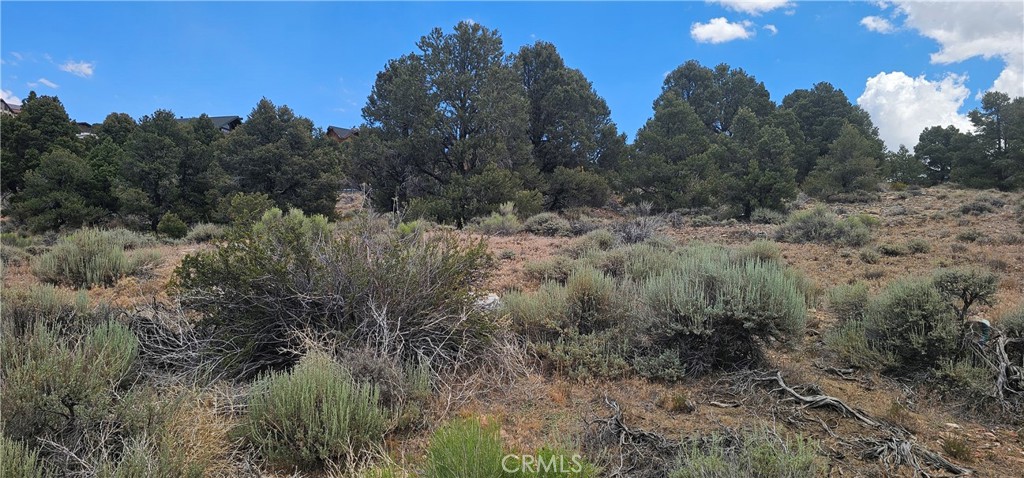 0 Baldwin Lake Road Property Photo 17