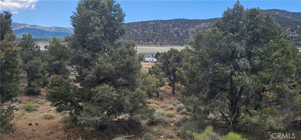 0 Baldwin Lake Road Property Photo 18