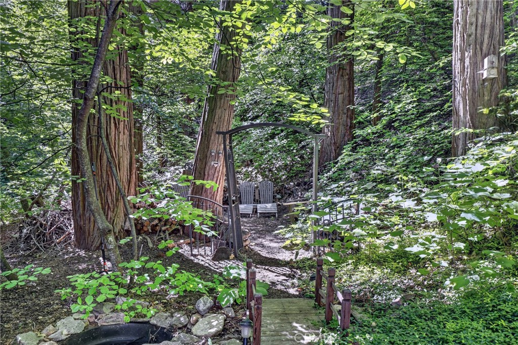 501 Dogwood Canyon Property Photo 37