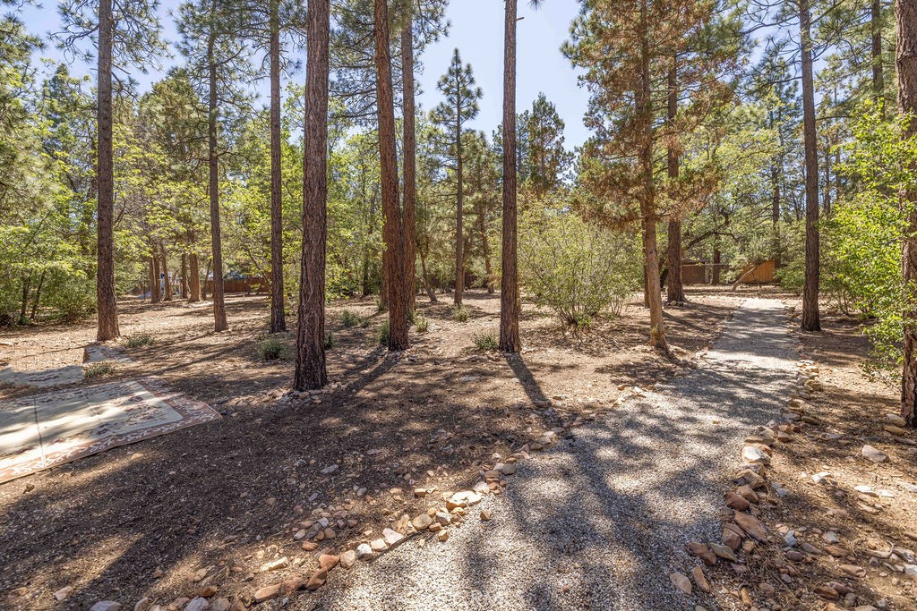 643 Cedar Glen Property Photo 49