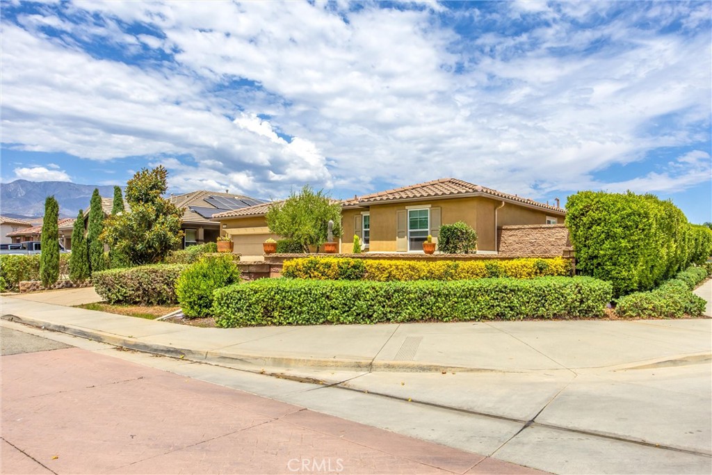 1302 Tulip E Property Photo 6