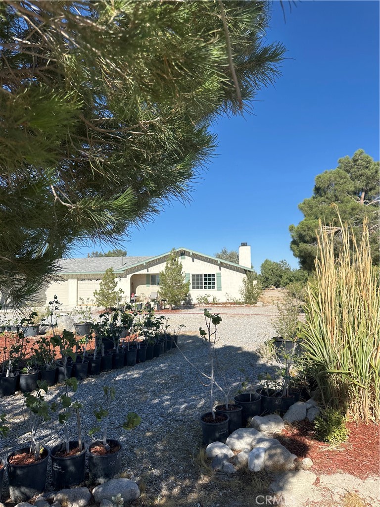 9181 Visalia Property Photo 3