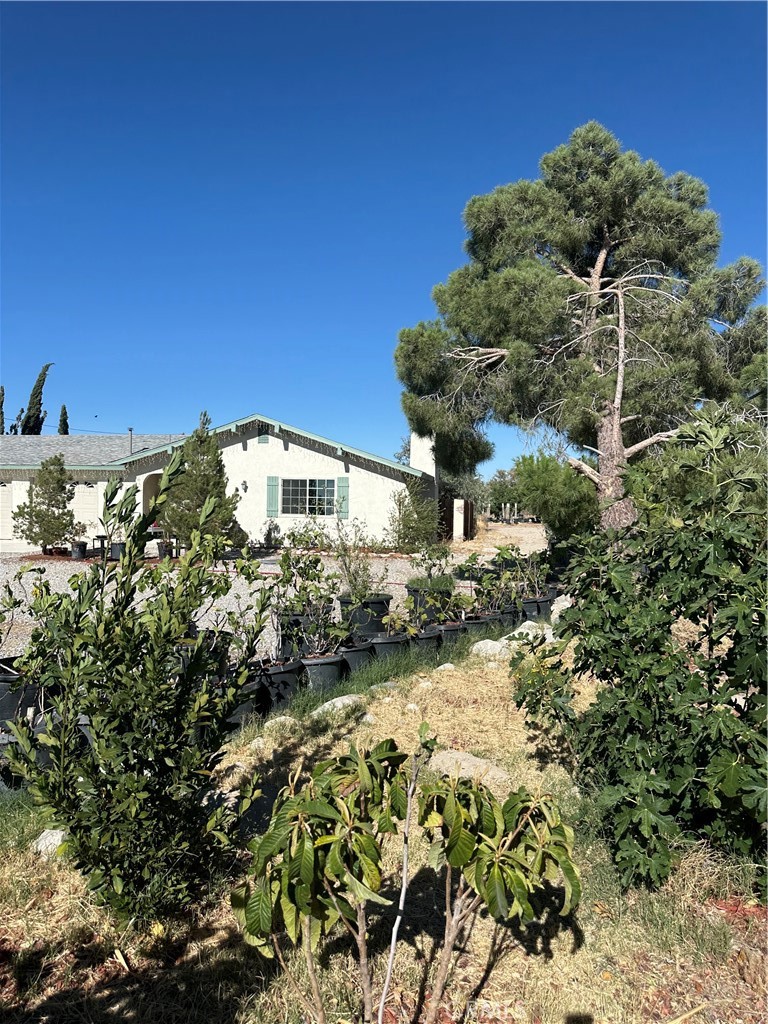 9181 Visalia Property Photo 8