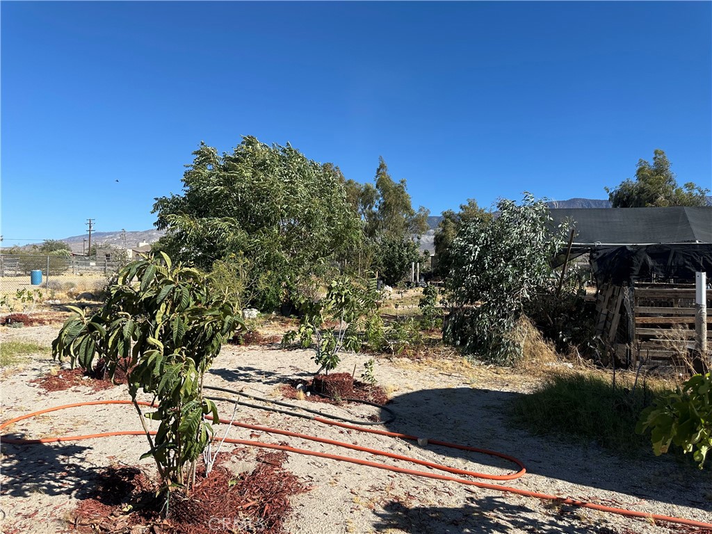 9181 Visalia Property Photo 15